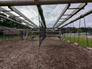 PXL_20240703_163747009