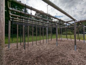 PXL_20240703_164132841